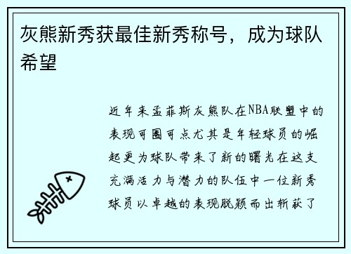 灰熊新秀获最佳新秀称号，成为球队希望