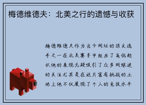梅德维德夫：北美之行的遗憾与收获