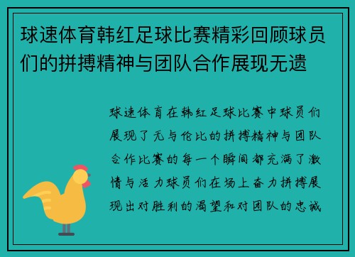 球速体育韩红足球比赛精彩回顾球员们的拼搏精神与团队合作展现无遗