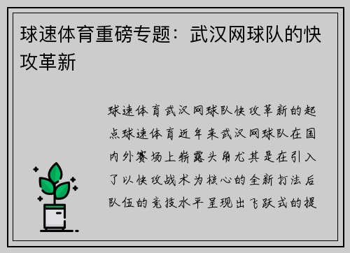 球速体育重磅专题：武汉网球队的快攻革新