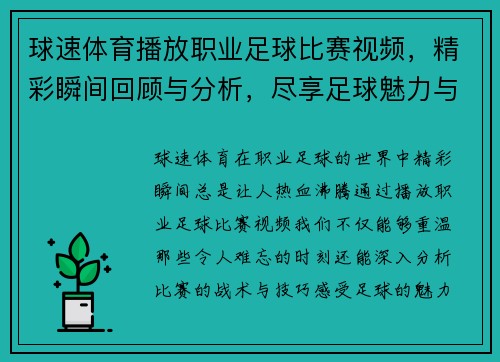 球速体育播放职业足球比赛视频，精彩瞬间回顾与分析，尽享足球魅力与激情